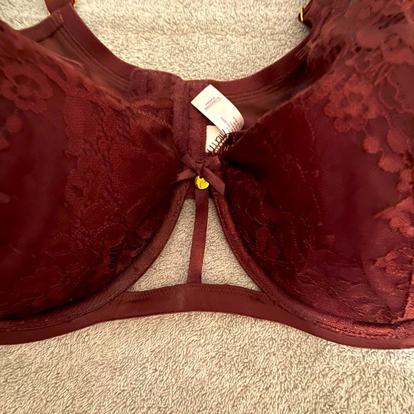 Lane Bryant Other - NWT seriously sexy Lane Bryant bra.  Size 44DDD